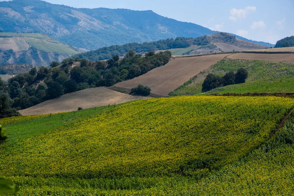 dab8a4a0-841b-45cb-8a12-971f863eaef7